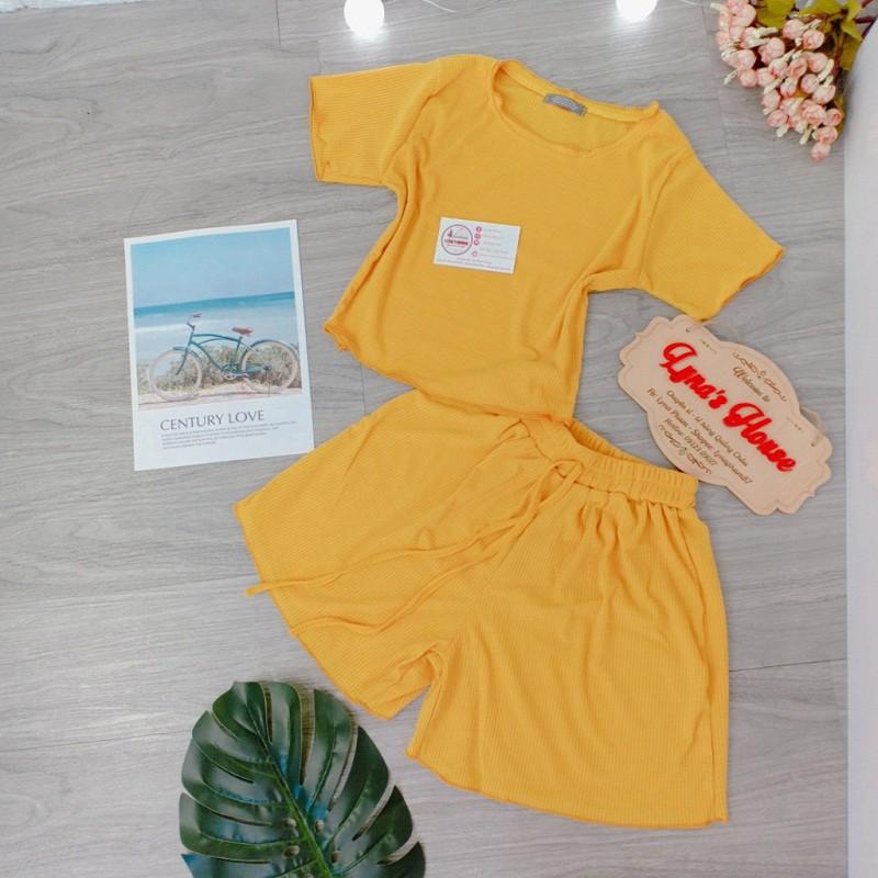 Bộ Ngủ Áo Croptop Quần Đùi Siêu Xinh LH57