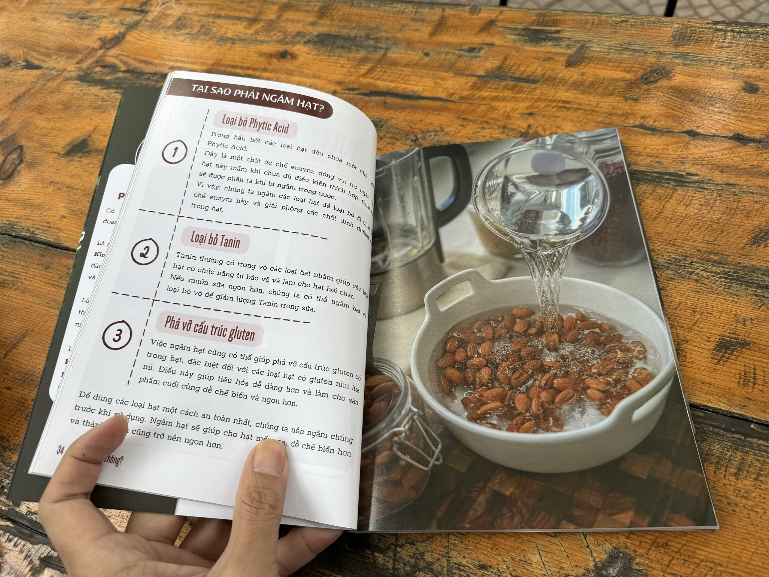 [In màu toàn bộ] UỐNG SỮA HẠT KHÔNG? - Phan Thủy Bếp Phó - Thái Hà Books - NXB Công Thương