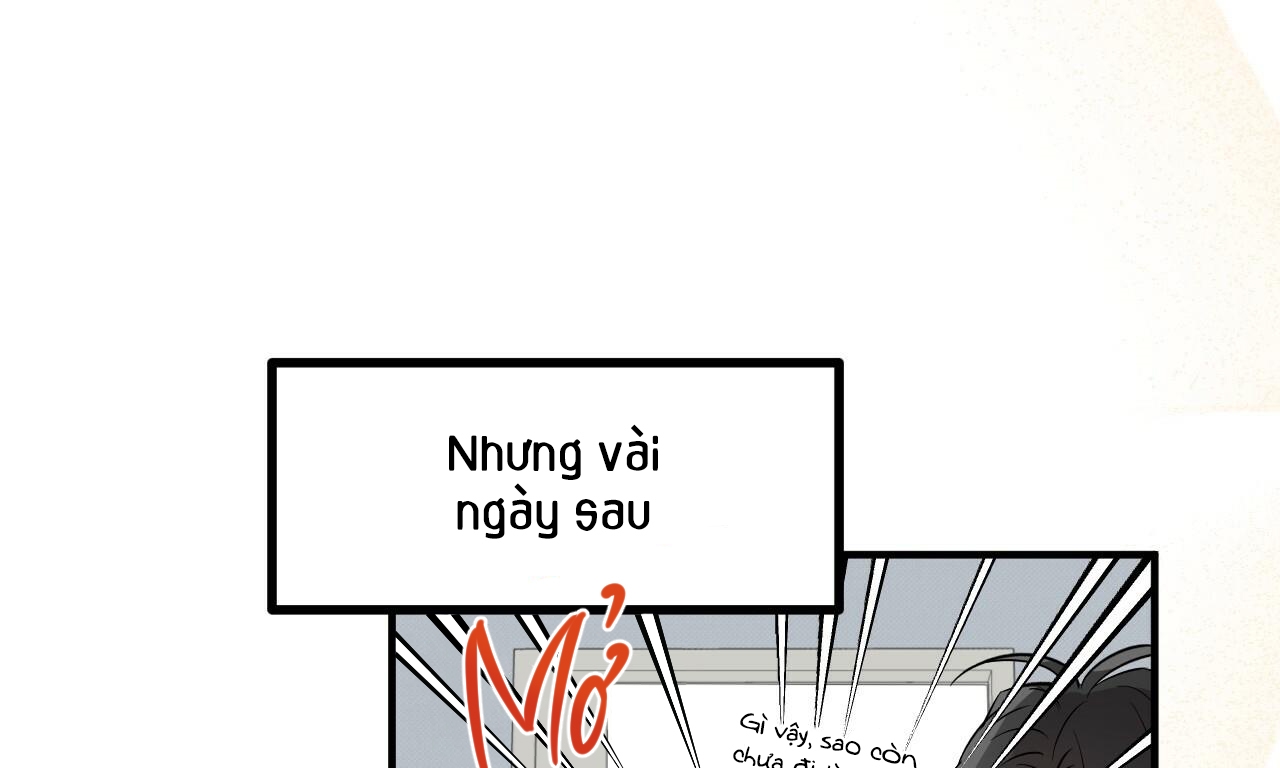 đàn thỏ của habibi chapter 55 5
