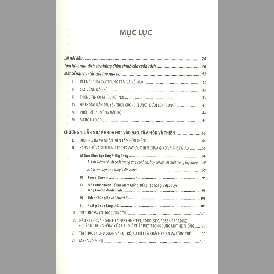 Khoa Học Bộ Não Trong Thiền Và Tâm Hồn