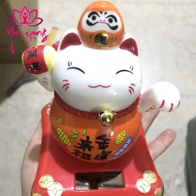 Mèo Chiêu Tài Tiến Bảo- Mèo Thần Tài May Mắn Rinh Tài Lộc