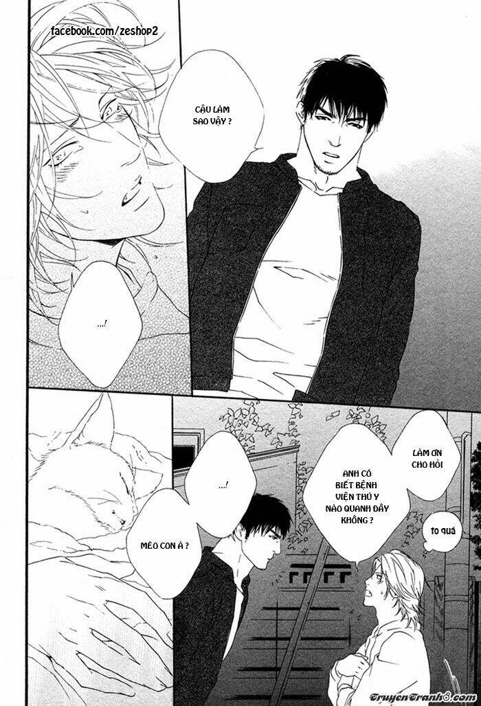 người nuôi mèo và bác sĩ thú y chapter 1 16