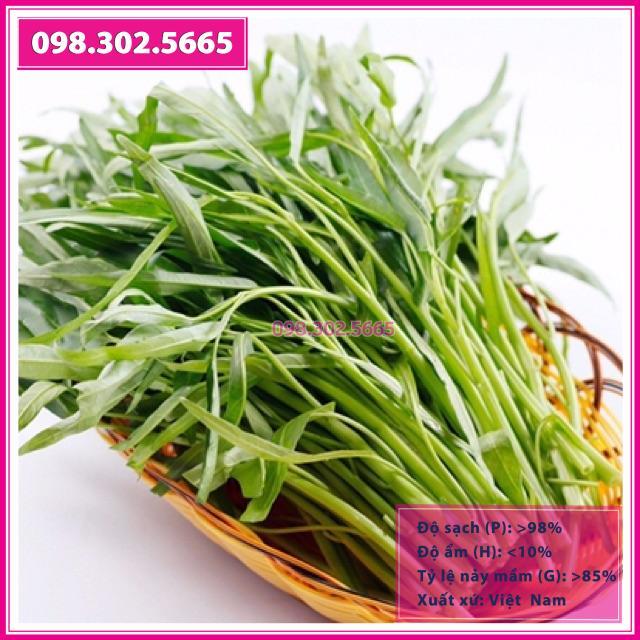 HẠT GIỐNG RAU MUỐNG LÁ TRE
