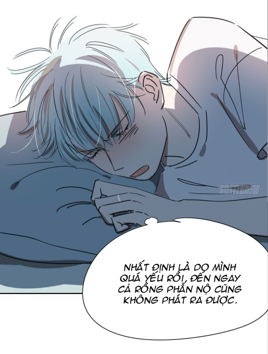 Bắt Lấy Ngao Ngao chapter 26 - Trang 11