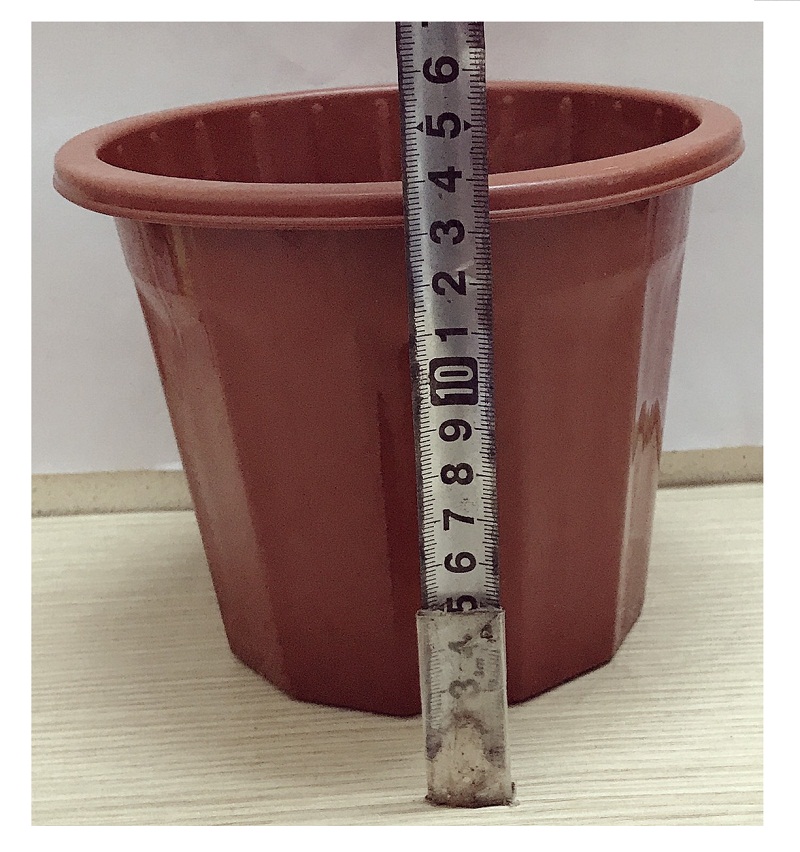 50 Chậu Nhựa Trồng Hoa, Cây Cảnh E230 CN