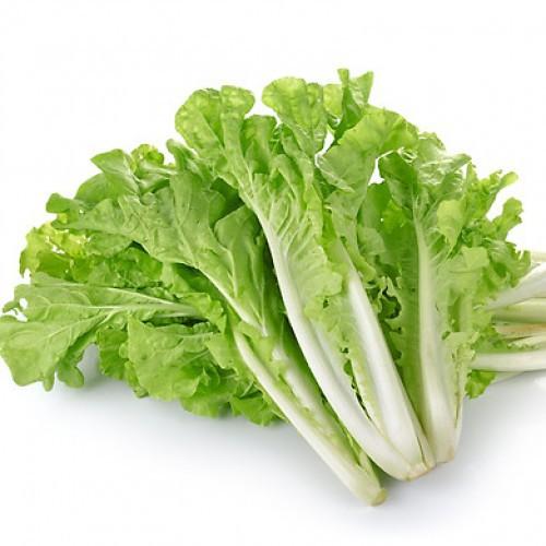 Hạt giống Cải Bẹ Dún
