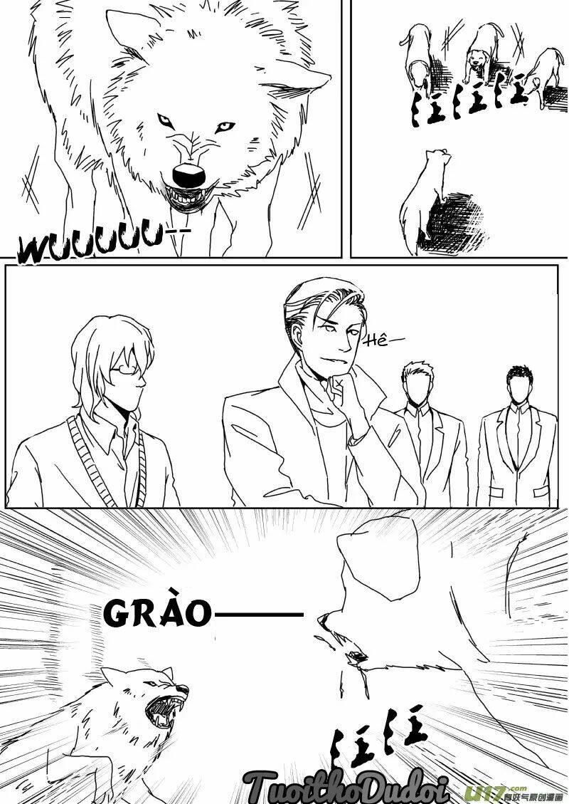 sự mê hoặc của sói chapter 39 8