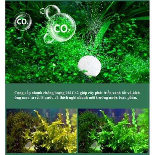Viên Nén CO2 & Phân Nhét Cho Bể Thuỷ Sinh - XEM KỸ PHÂN LOẠI