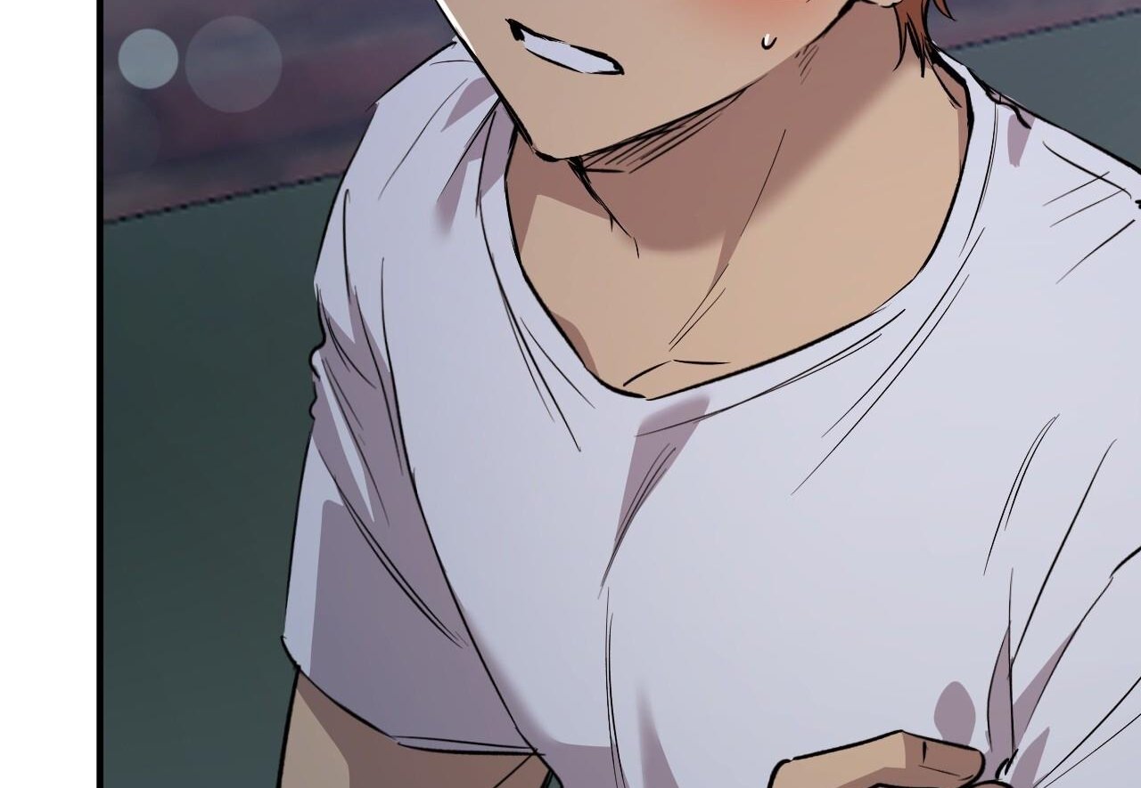 những chú thỏ của hapypy chapter 60 59