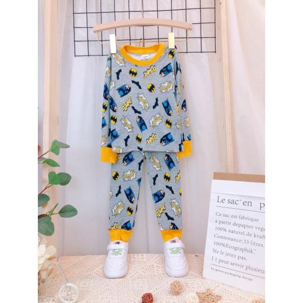 Bộ dài tay bozip cotton loại đẹp hình in màu và thêu đắp cho bé