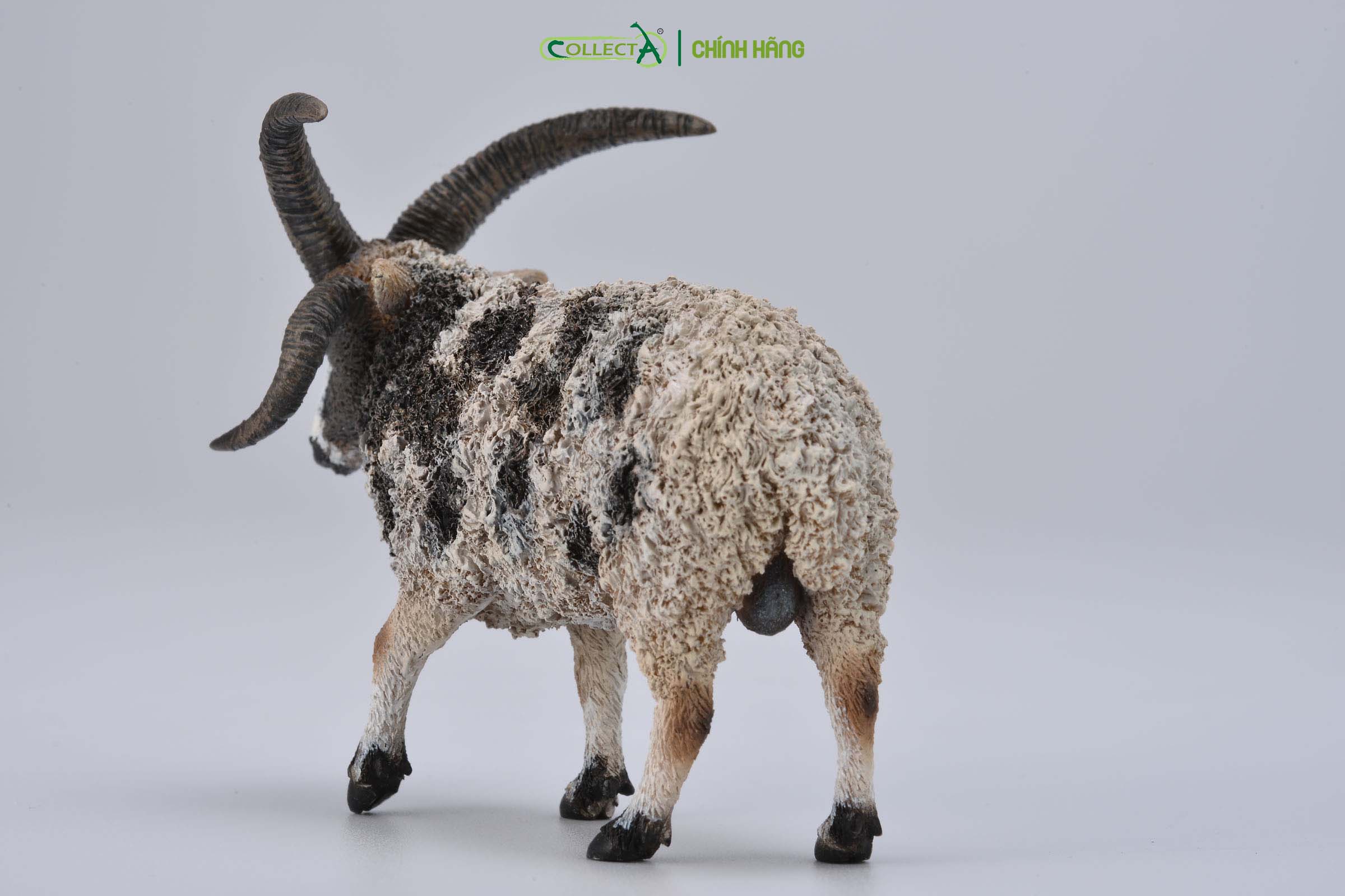 Mô hình thu nhỏ: Cừu Jacob bố - Jacob Sheep , hiệu: CollectA, mã HS 9650160[88728] - Chất liệu an toàn cho trẻ - Hàng chính hãng