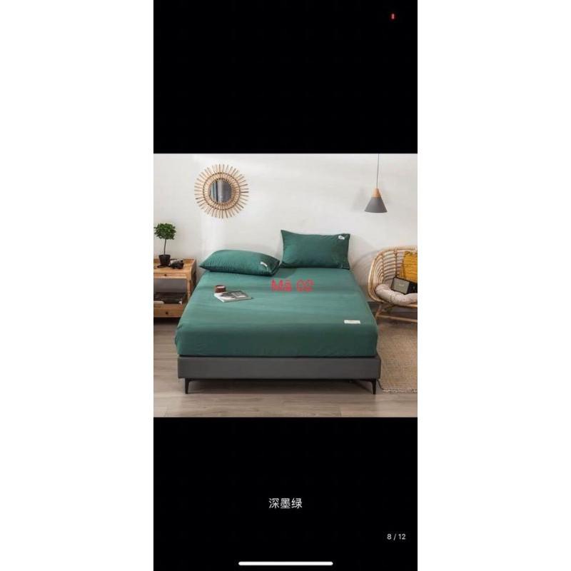 ️️ RẺ VÔ ĐỊCH ️️Bộ Ga Gối Cotton Tici Loại 1