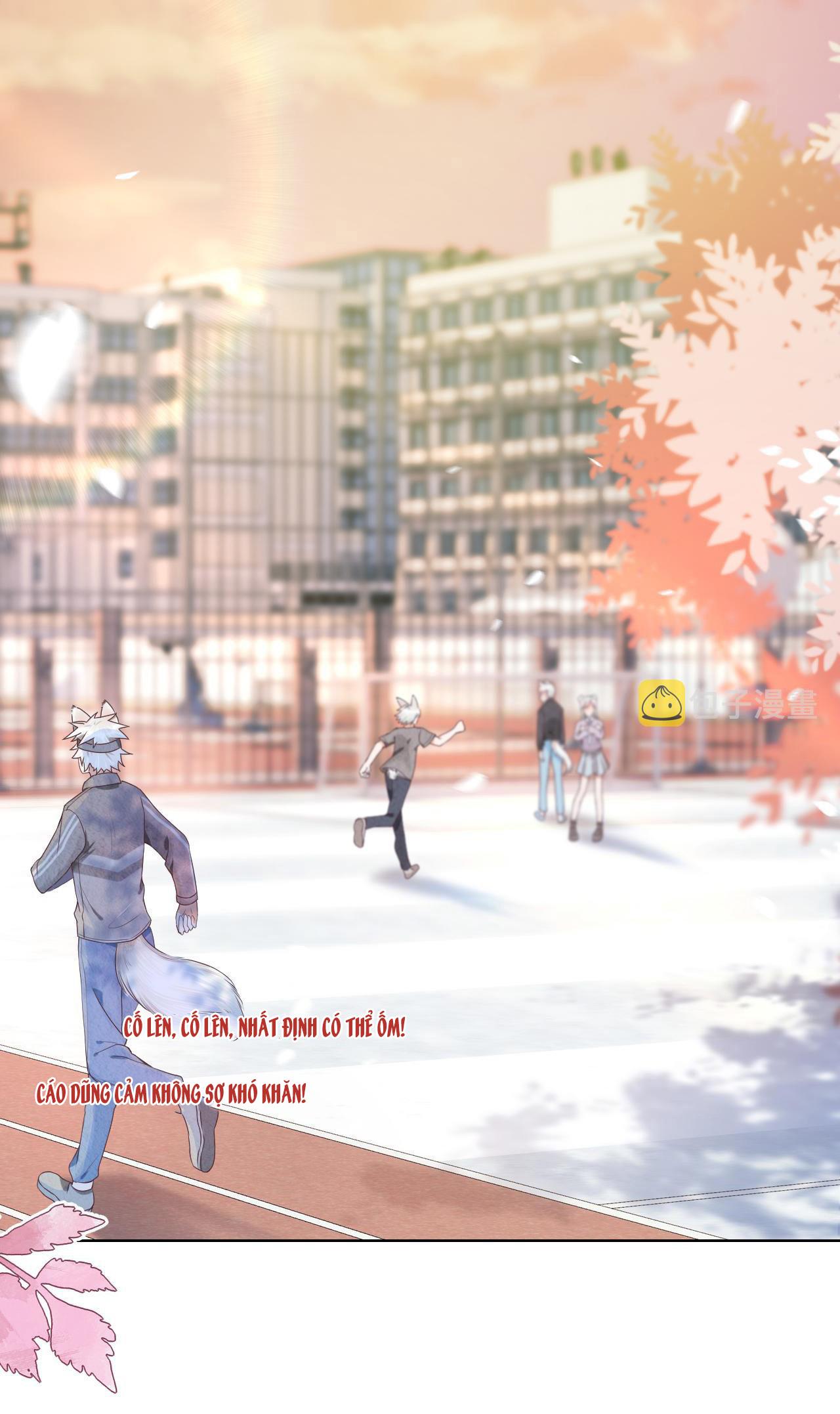 [ss2] một ngụm ăn cả thỏ con chapter 3 1