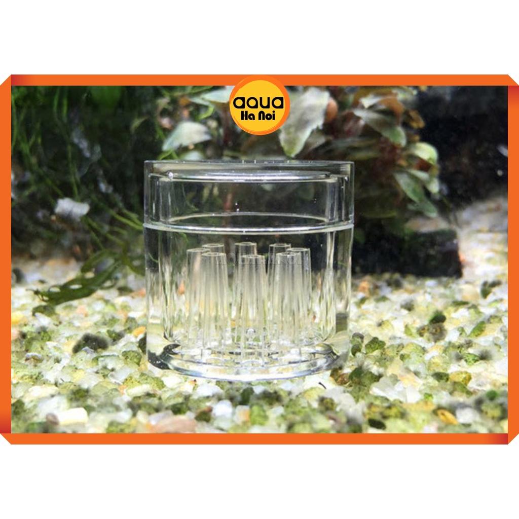 Bẫy sán mica cao cấp 8 lỗ - loại bỏ sán, bọ nước hồ cá thủy sinh - an toàn cá tép