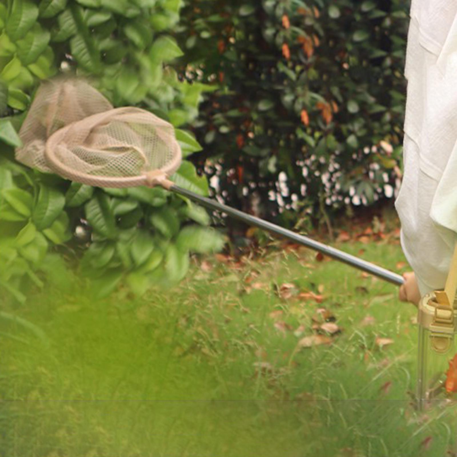 Insectsalescom boxes butterfly catchers jar Butterfly Net
