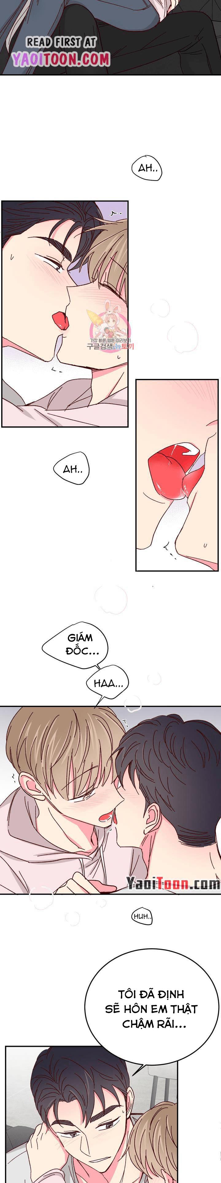 món tráng miệng của sếp tổng chapter 68 15