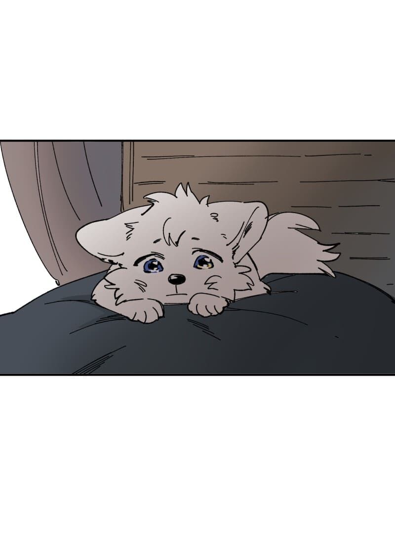 lumine - cội nguồn ánh sáng chapter 105 2