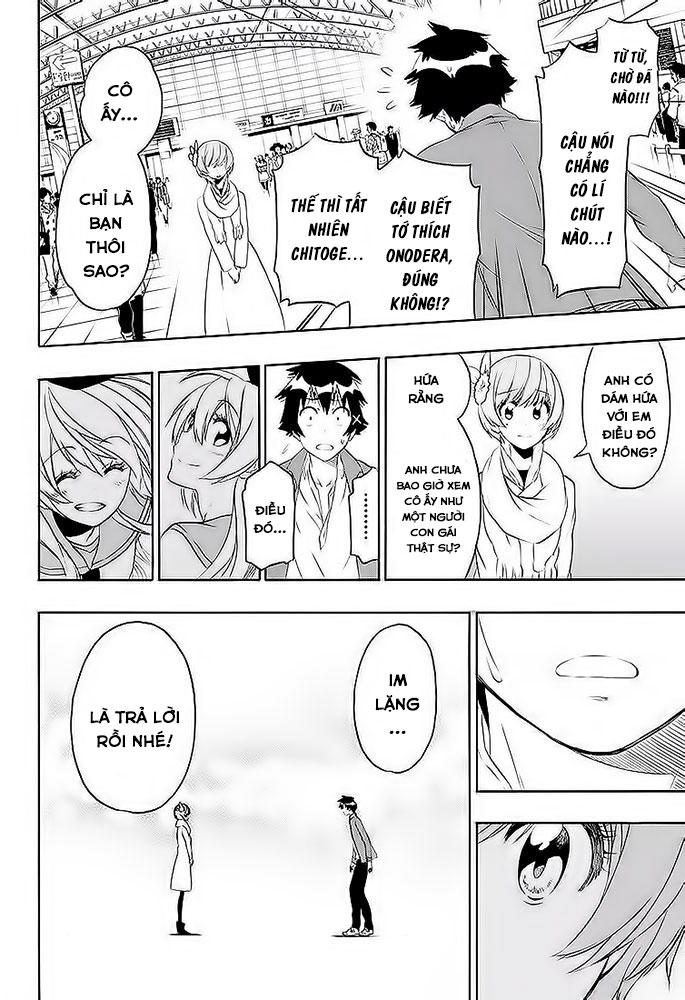 nisekoi - tình yêu giả tạo chapter 195 10