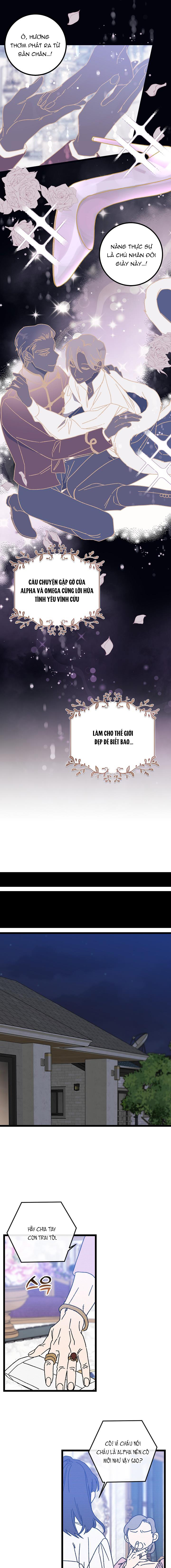 alpha thì có sao? chapter 1 2