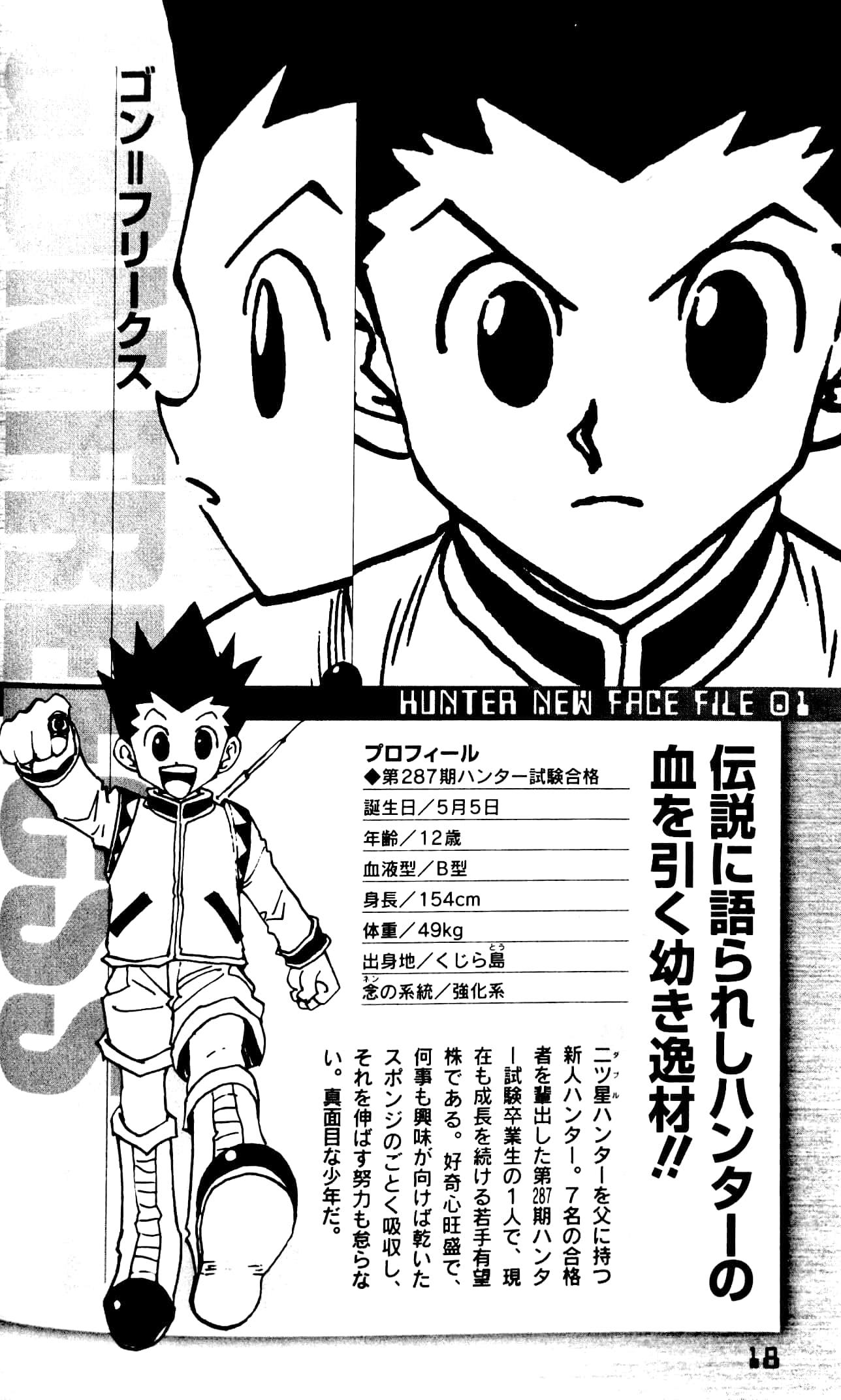 Hunter x Hunter Hunter's Guide (Japanese Edition)