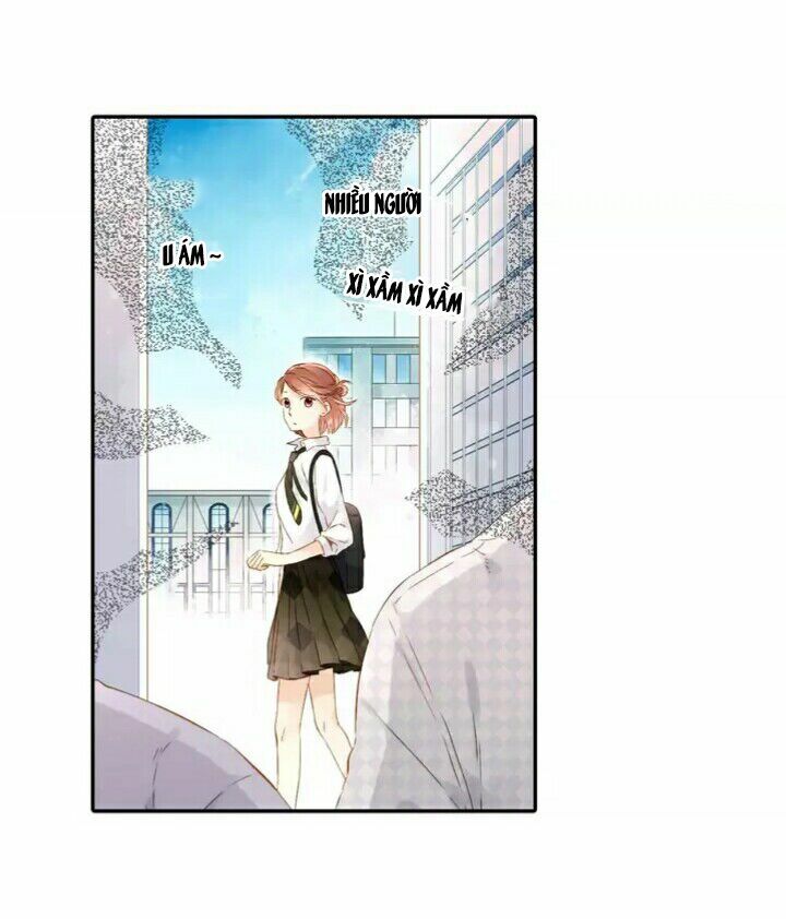 Tình yêu là màu hoa anh thảo chapter 24.2 35