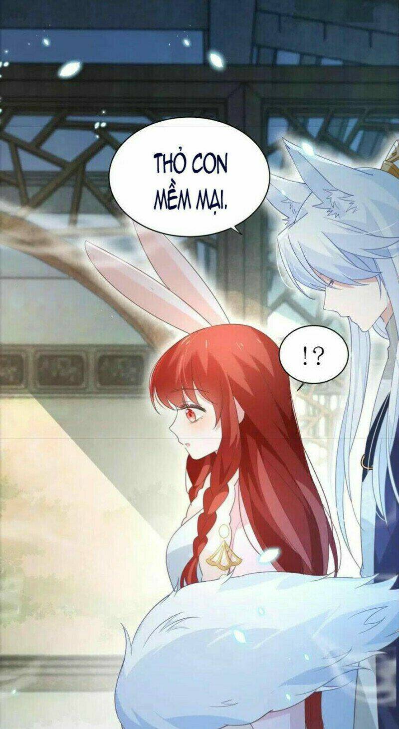 hắc hóa nam chính trực tuyến nuôi thỏ chapter 62 33