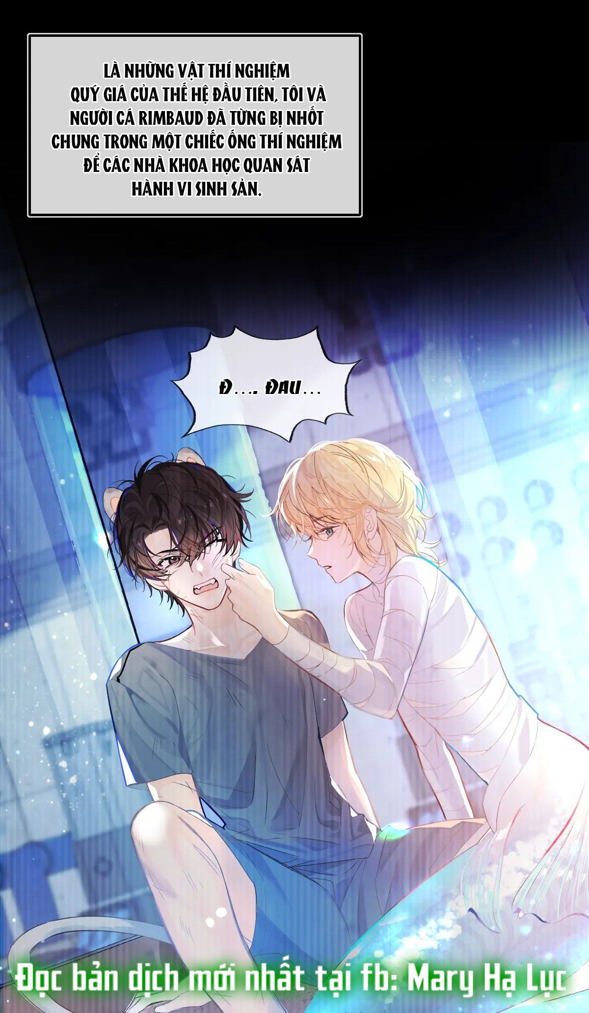 nhân ngư sa ngã chapter 1.1 17