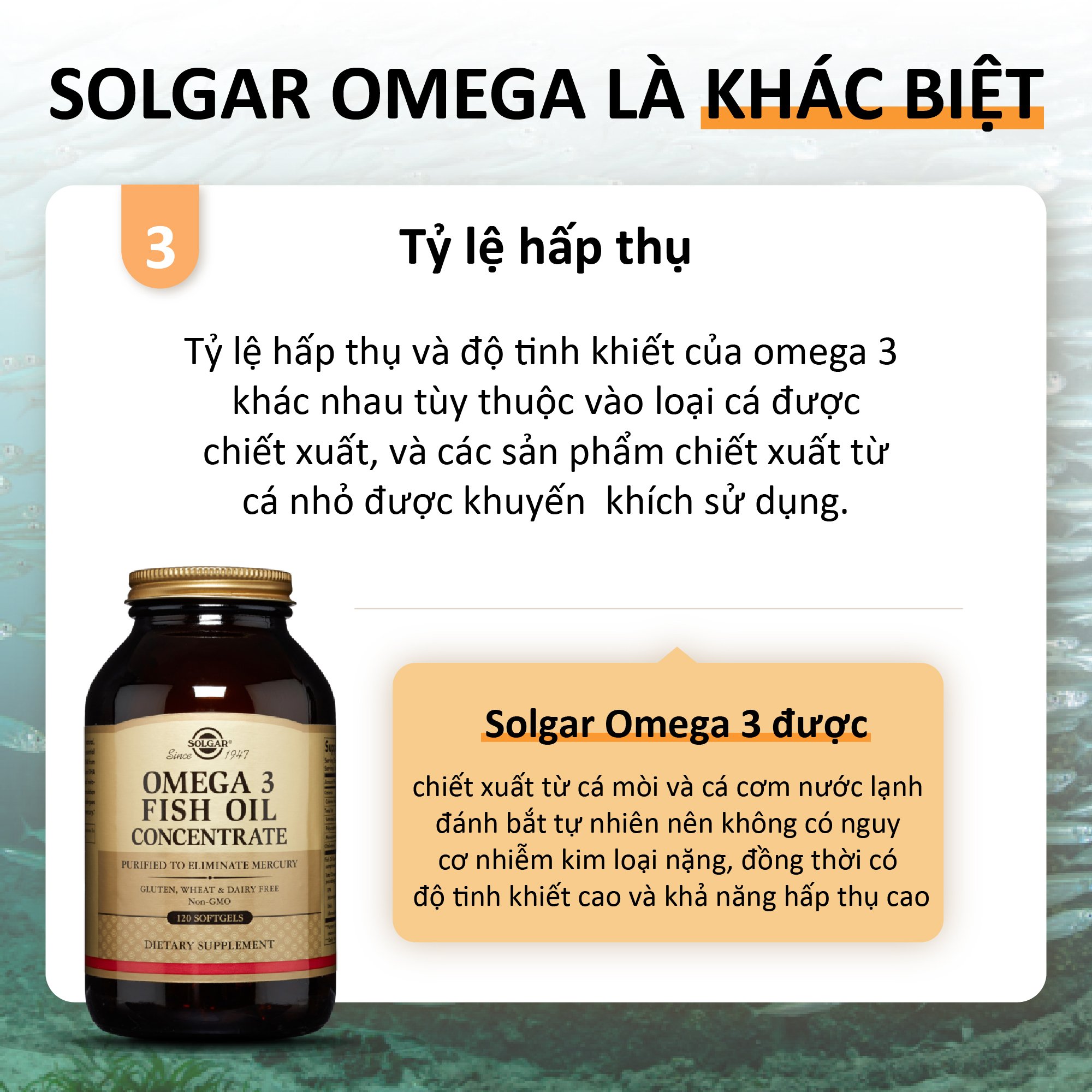 NHẬP KHẨU USA CHÍNH HÃNG - Viên uống dầu cá bổ sung omega 3, hỗ trợ giảm xơ vữa động mạch, tốt cho tim mạch, cải thiện trí nhớ Solgar Dầu cá Fish Oil Omega-3 Concentrate 120