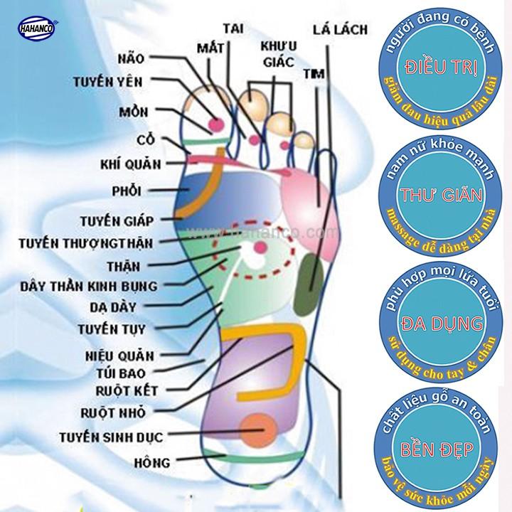 Cây đập và gãi lưng đầu tròn bằng gỗ Bách Xanh (MH871) Chăm sóc sức khỏe