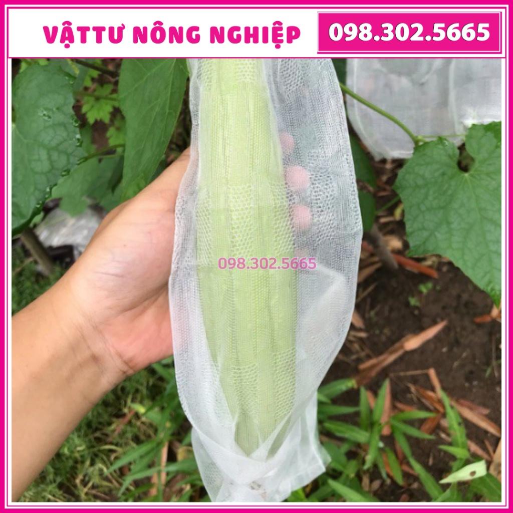 50 Túi bọc mướp, bầu. bí... kt 15x50 cm - túi bao trái cây, bảo vệ tuyệt đối