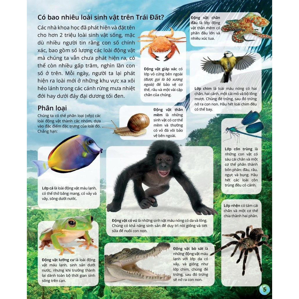 Sách Atlas Kỳ Thú Về Động Vật