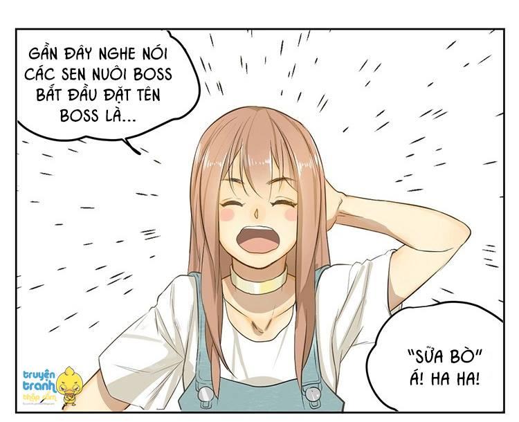 cứu mạng ! loài mèo thống trị thế giới rồi ! chapter 20 27