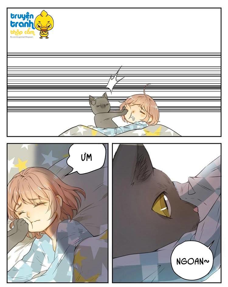 cứu mạng ! loài mèo thống trị thế giới rồi ! chapter 26 10