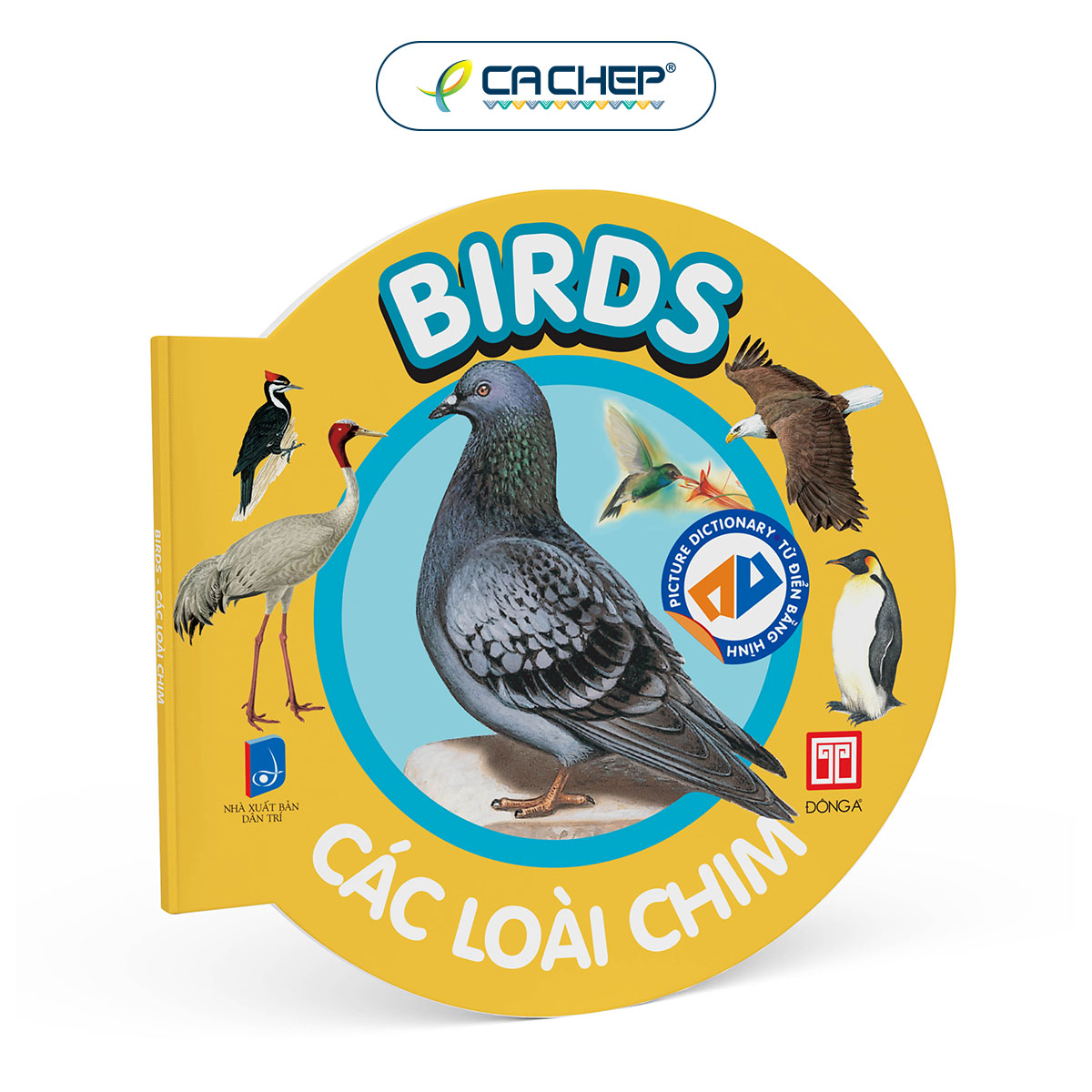 Bộ Từ điển bằng hình cho bé - Bộ mới 2023
