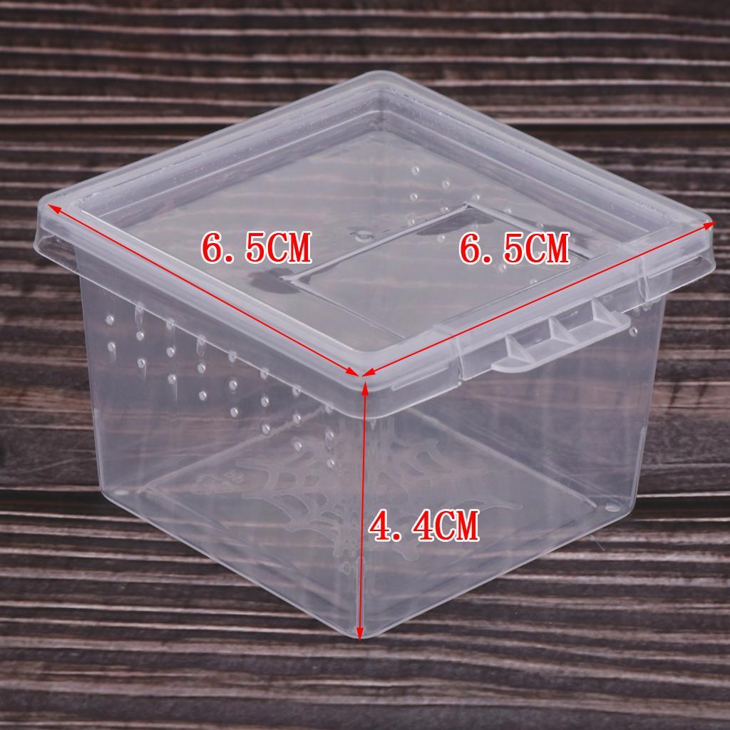 20x Reptile Feeding Container Vivarium Rearing Box for Outing Raise