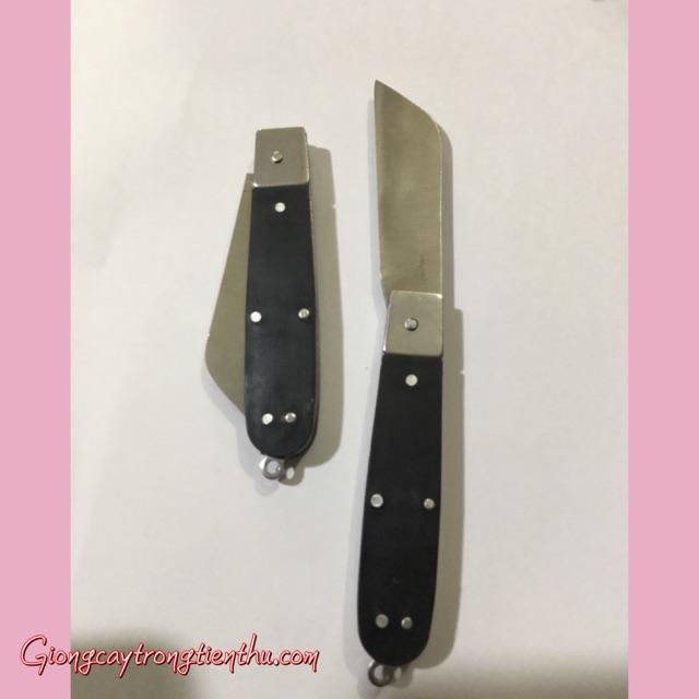 DAO GHÉP CÂY GIỐNG CHUYÊN DỤNG