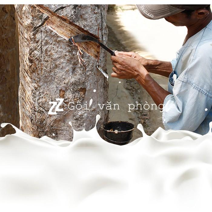 Gối cao su thiên nhiên hàm lượng cao >90% hỗ trợ đau vai gáy, đốt sống cổ, chống ngáy LDH01