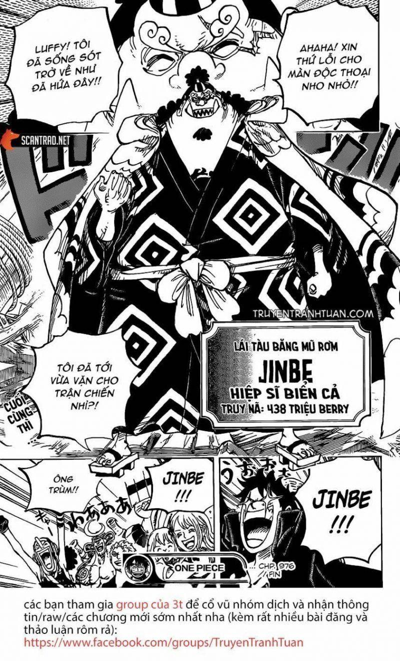 đảo hải tặc - one piece chapter 976 16