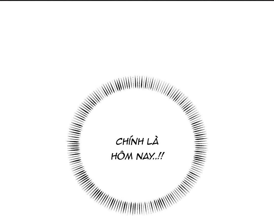 hạnh phúc trọn vẹn chapter 22 9