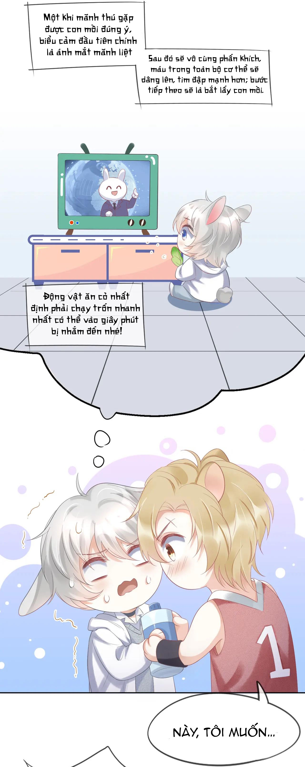 một miếng ăn sạch thỏ chapter 2 58