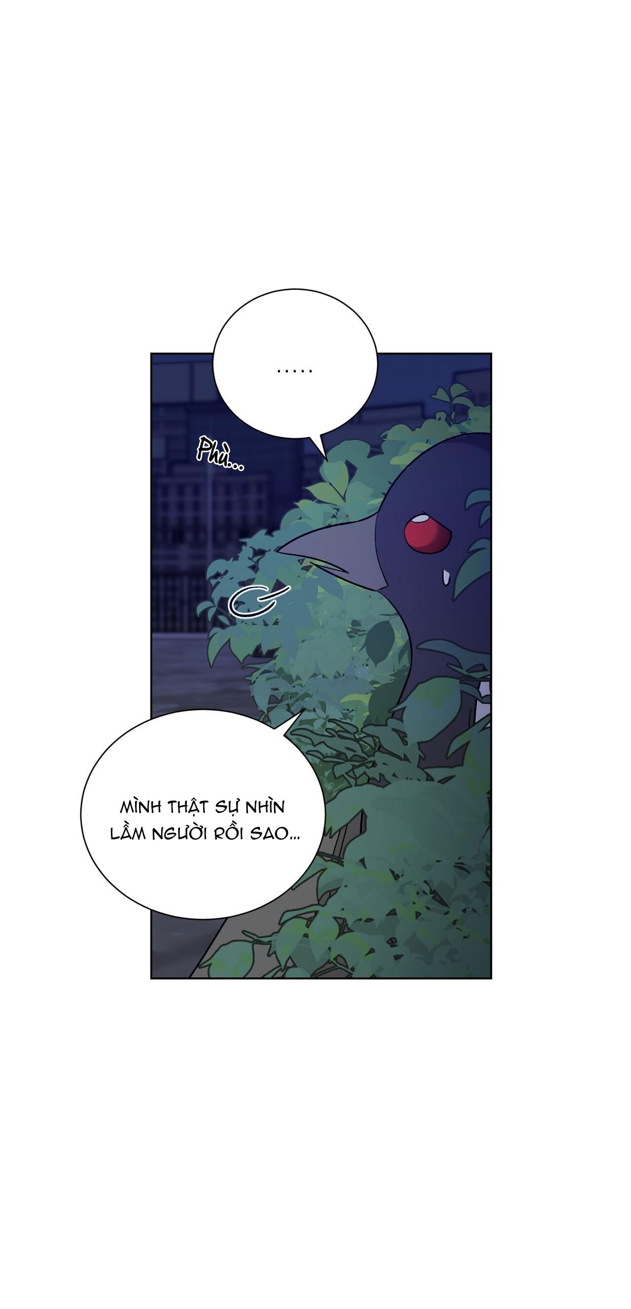 khi chim thước đến chapter 11 32