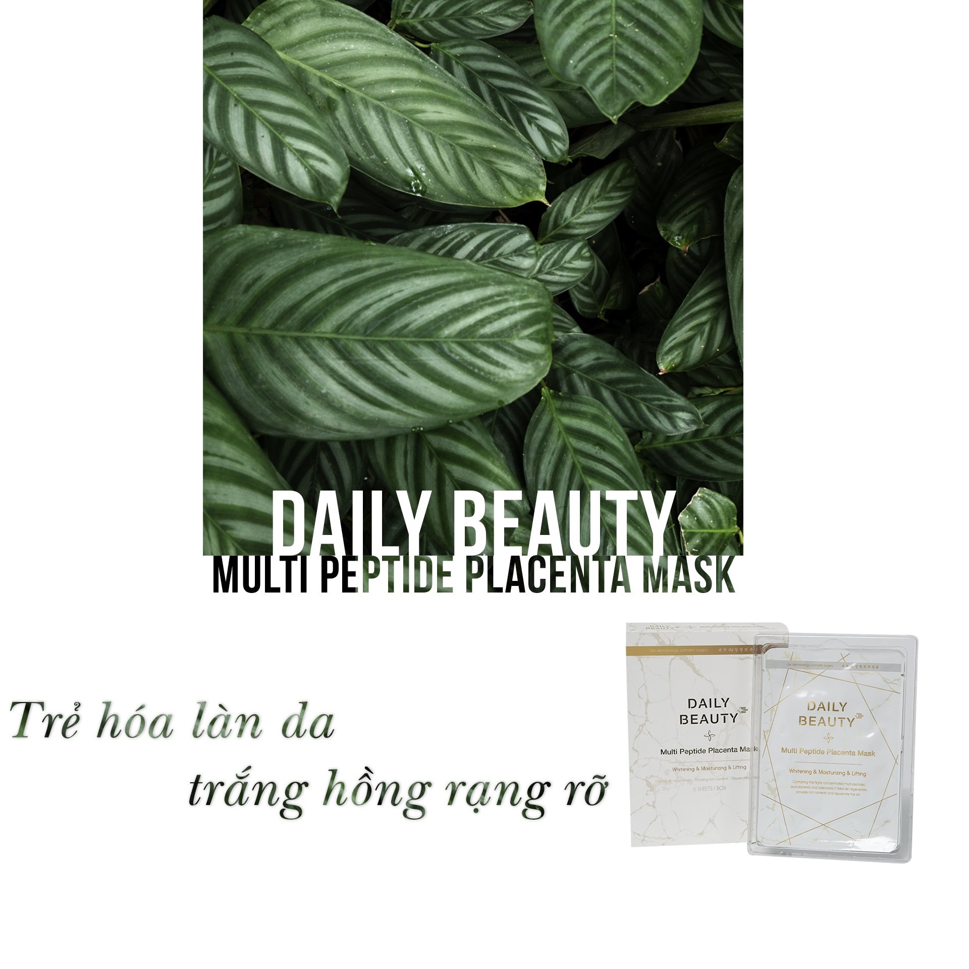 Combo full cho da mụn Daily Beauty R&amp;B Việt Nam, chăm sóc da mụn toàn diện, ngừa mụn, phục hồi tổn thương do mụn, ngăn mụn quay trở lại