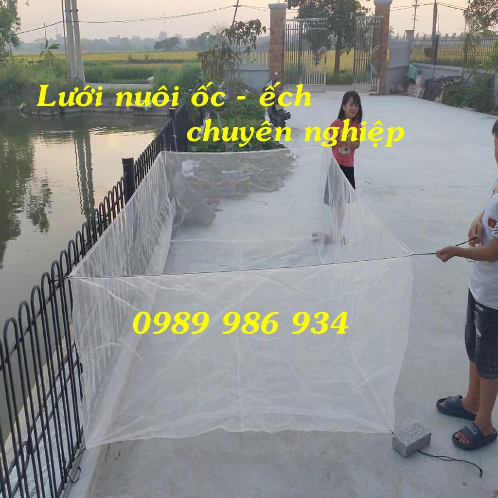 Tráng lưới nuôi ốc nhồi ốc bươu đen rộng cá | uy tín chất lượng
