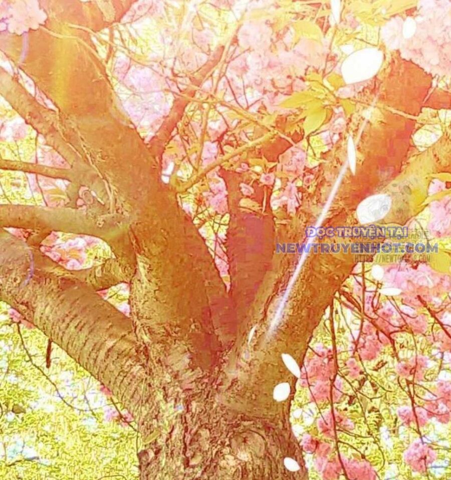 sự trở lại của nhà soạn nhạc thiên tài chapter 54 130