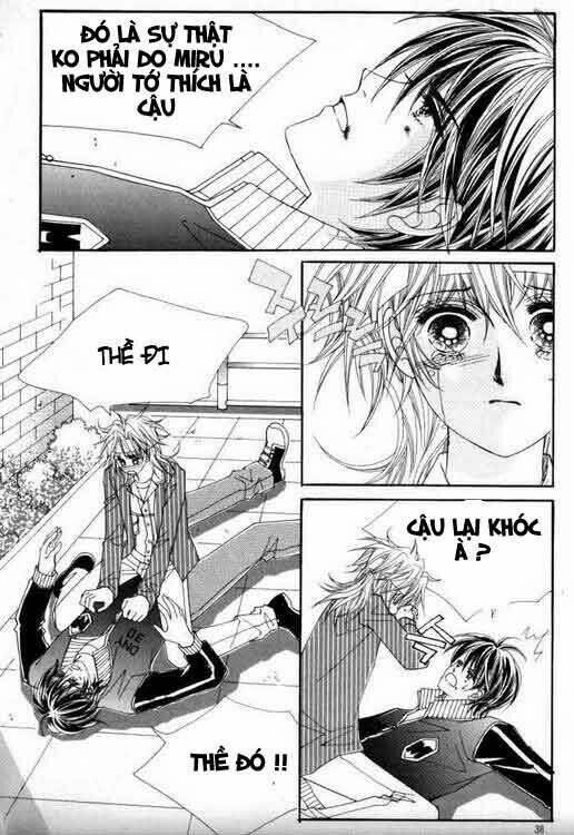 he dedicated to roses chapter 20 31