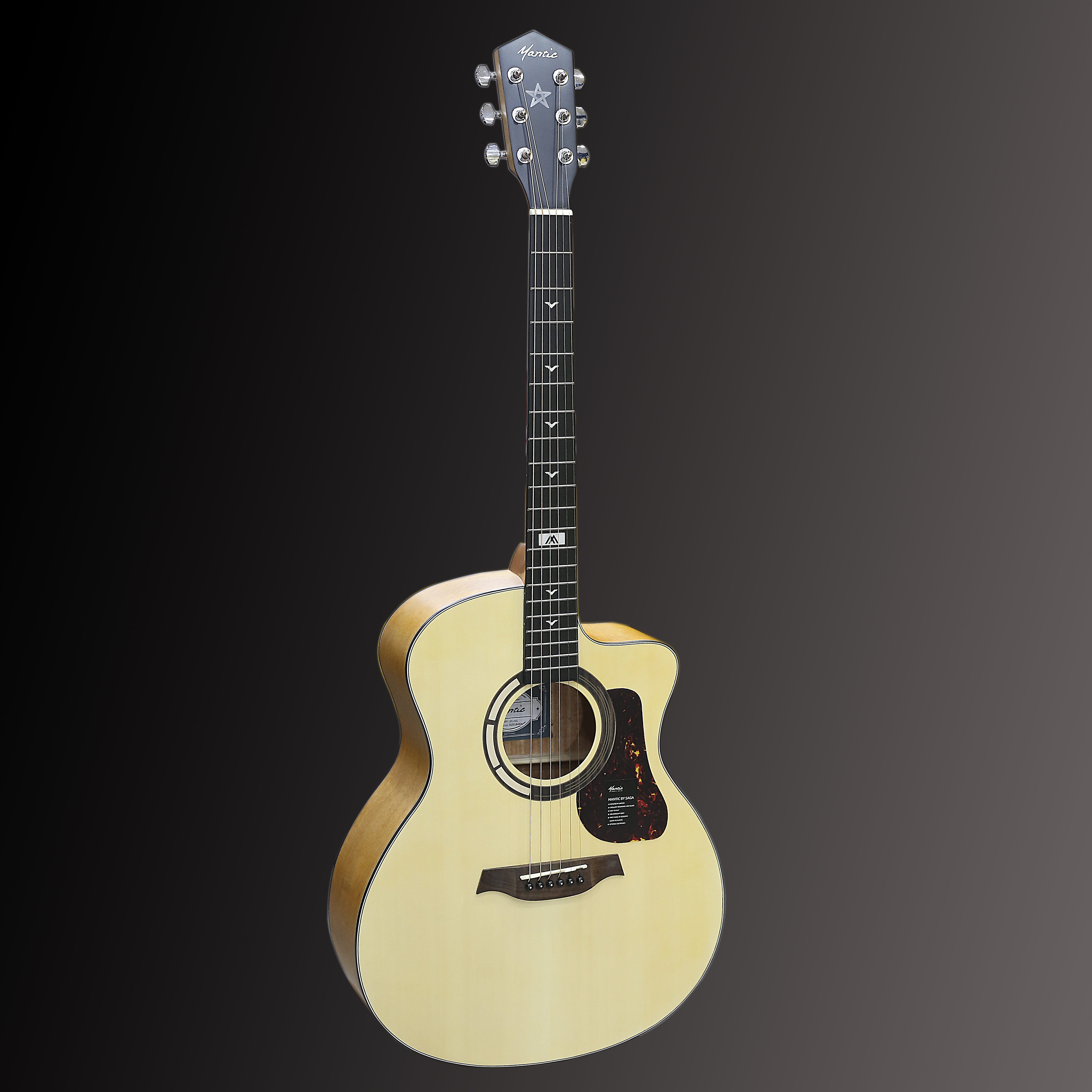 Đàn Guitar Acoustic GT-1GC Mầu Vàng Gỗ Tự Nhiên