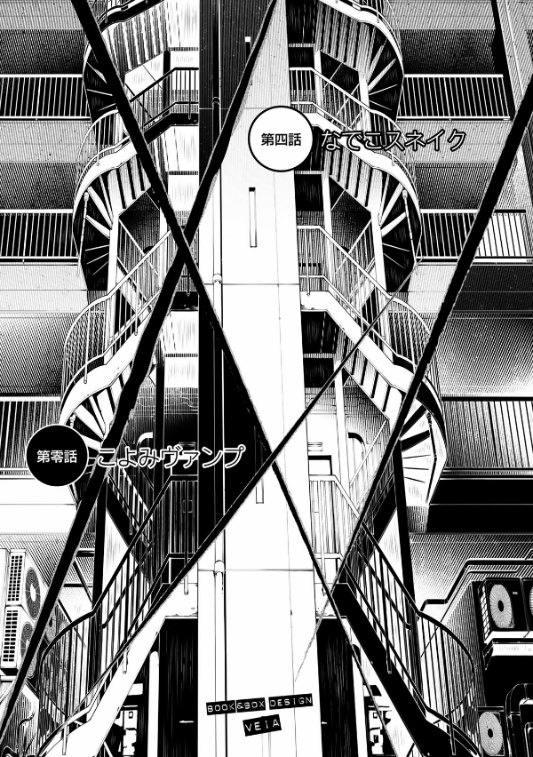 Bakemonogatari 8 (Special Edition) (Japanese Edition)