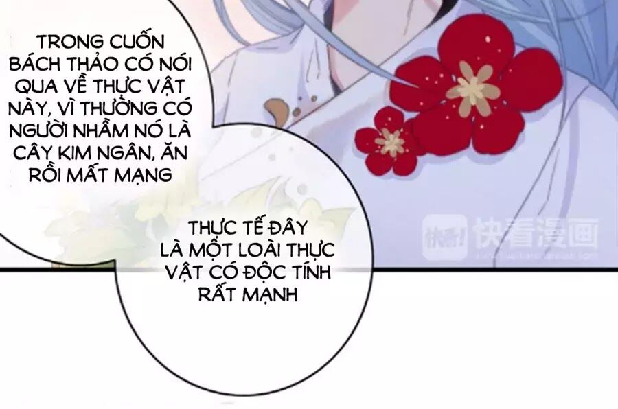 dữ tử thành thuyết chapter 25 34