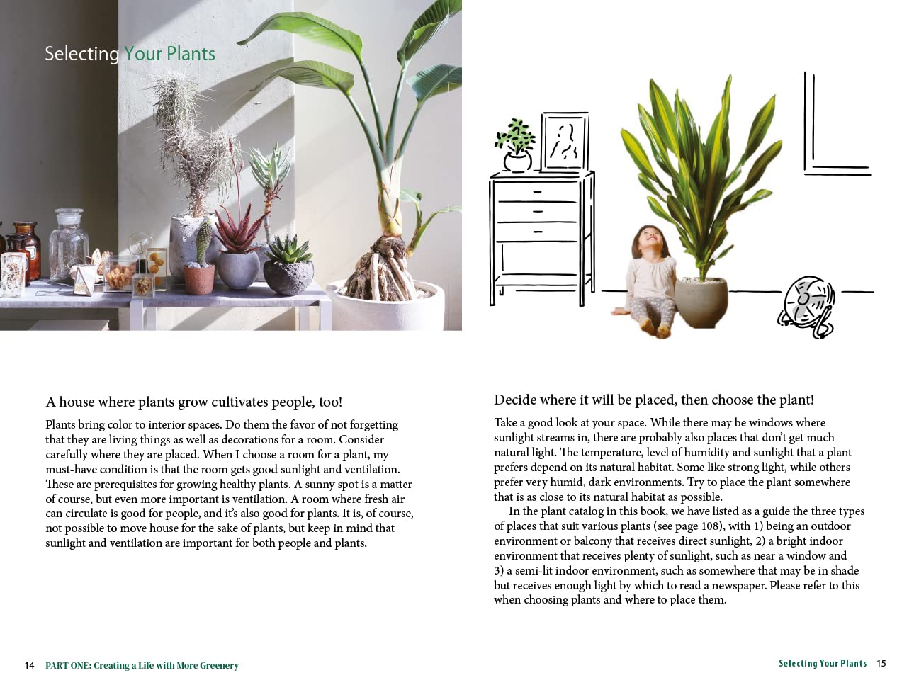 A Beginner's Guide to House Plants: Creating Beautiful and Healthy Green Spaces in Your Home