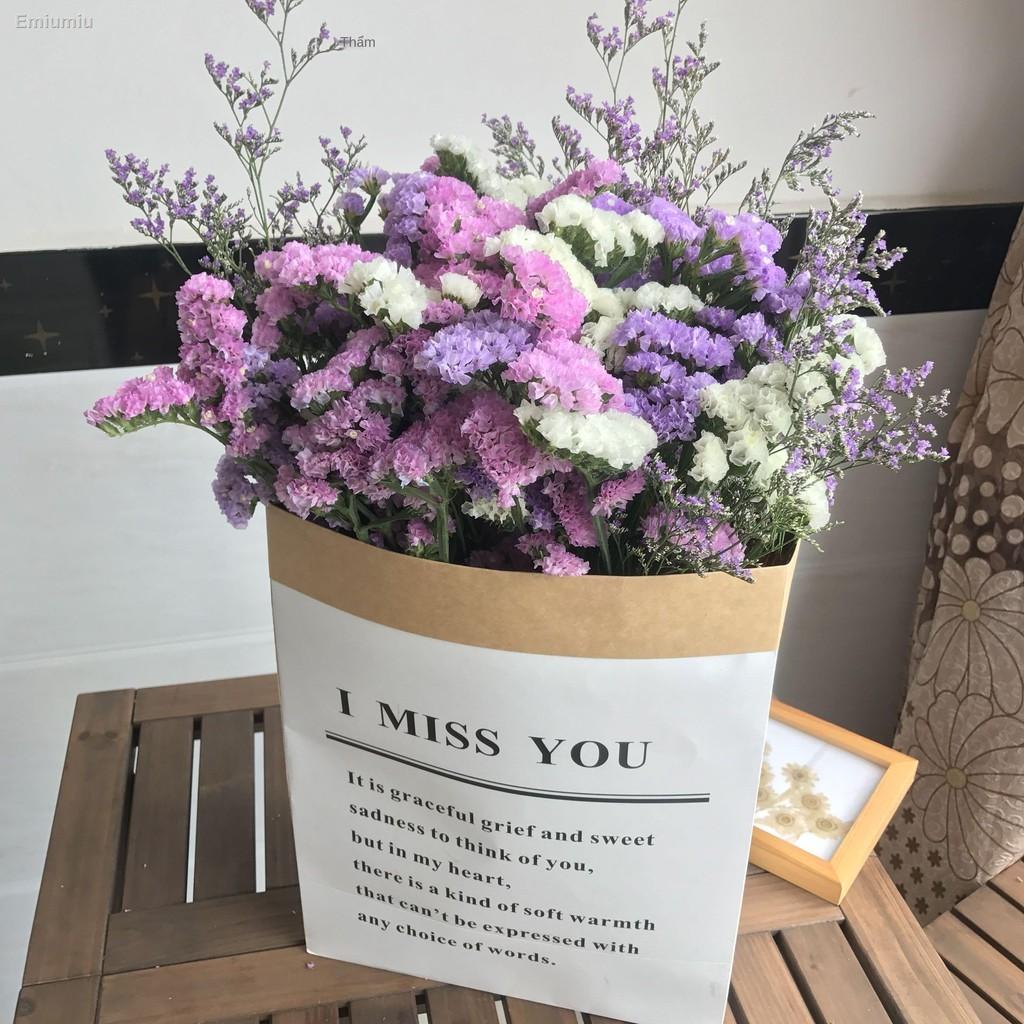 ❆❁Forget me not Hoa khô Gypsophila phong cách Bắc Âu túi giấy lớn đặt trang trí phòng khách trang trí phòng khách